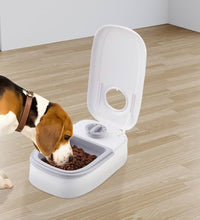 Automatic Pet Feeder