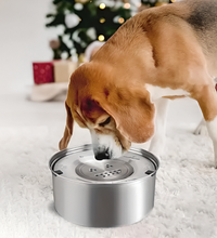 Stainless Bowl