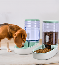 Food and Water Dispenser