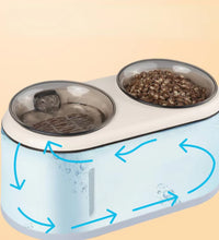 Water&Food Dispenser